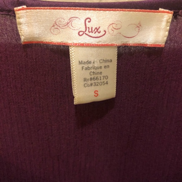 Lux from UO sheer blouse - Picture 4 of 5